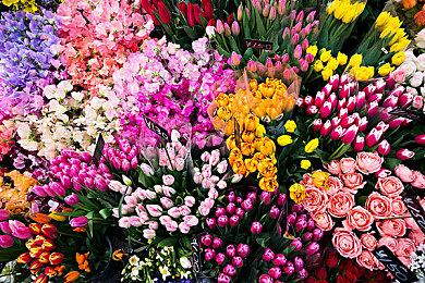 多人混战《呆呆大乱斗》现已上线Steam 首日限时免费领取入库！