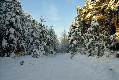 挑战极限《任天堂世界锦标赛FC世界大会》玩法介绍视频